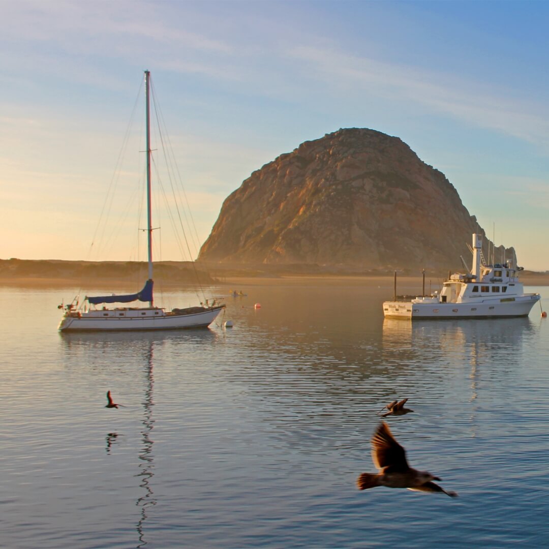 Morro Rock at sunrise. A few boats are in the harbor, and there’s a bird flying in the foreground.